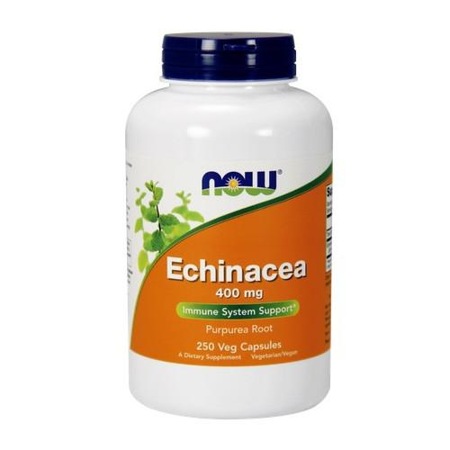 Miniaturka artykułu - NOW Echinacea 400mg -250 kapsułek