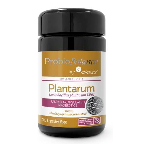 Miniaturka artykułu - Aliness ProbioBalance Lactobacillus plantarum LP01 10 mld, 30 kaps.