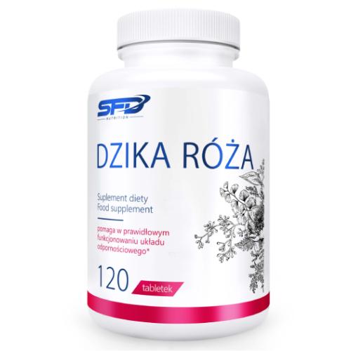 Miniaturka artykułu - SFD Dzika R&oacute;ża, 120 tabl.