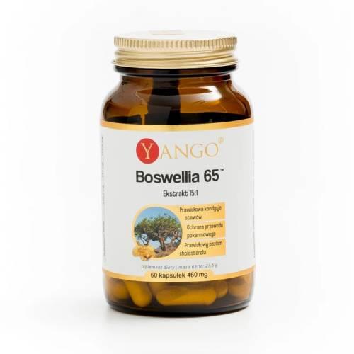 Miniaturka artykułu - YANGO Boswellia 65 ekstrakt, 60 kapsułek