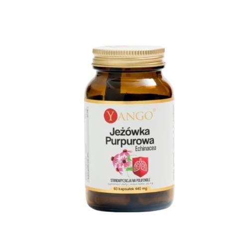 Miniaturka artykułu - YANGO Jeż&oacute;wka Purpurowa Echinacea, 60 kapsułek