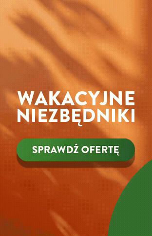 Wakacje