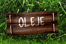 Oleje