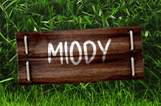 Miody
